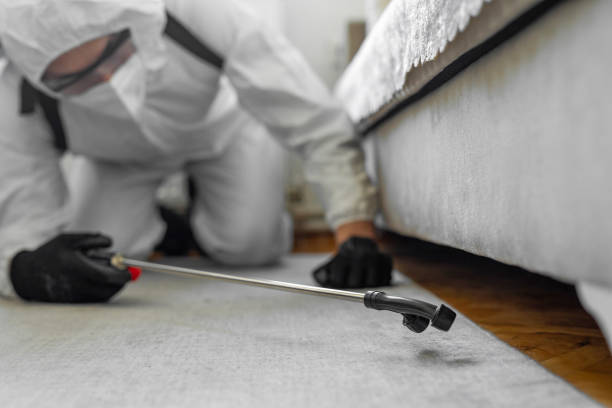 Professional Termite Control technician working in Brooktrails, CA