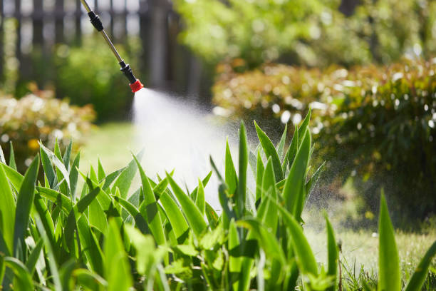 24/7 Emergency Termite Control experts in Brooktrails, CA