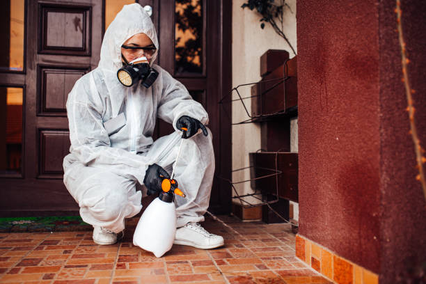 Reliable Termite Control contractor in Brooktrails, CA by Nex Pest Control